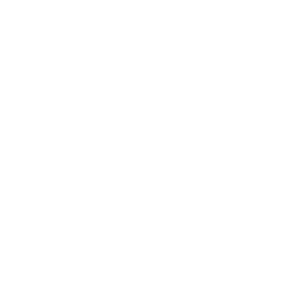 High quality print icon